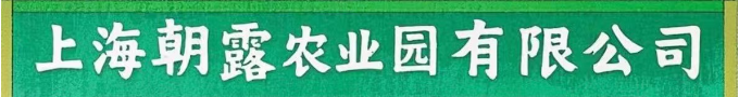 朝露農(nóng)業(yè)有限公司1