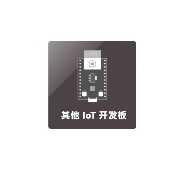 其他 IoT 開發板