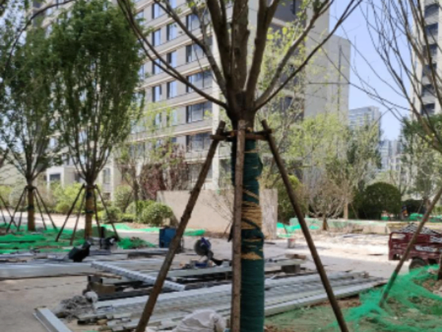 重慶地方園林綠化工程施工歡迎選購(gòu)