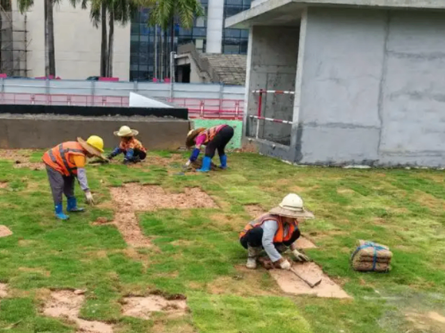 海南現(xiàn)代園林綠化工程施工市場(chǎng)報(bào)價(jià)