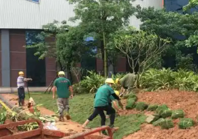 海南現(xiàn)代園林綠化工程施工市場報(bào)價(jià),園林綠化工程施工