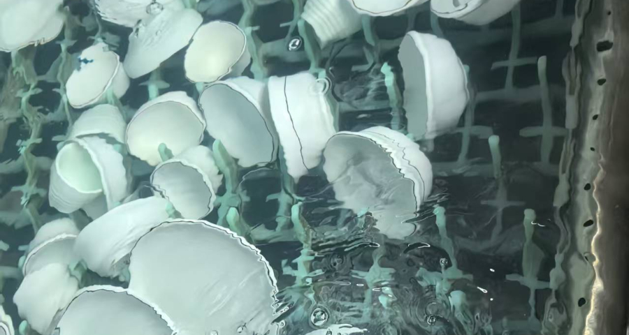 龍崗區(qū)酒店餐具回收服務(wù)管理措施 報(bào)價(jià)/價(jià)格 深圳市西部志城餐具消毒供應(yīng)