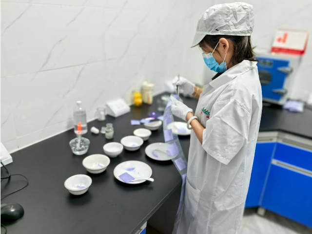 鹽田區(qū)餐廳餐具消毒 歡迎來電 深圳市西部志城餐具消毒供應(yīng)