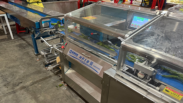 成都葉菜類枕式包裝機制造商 成都市新享科技供應