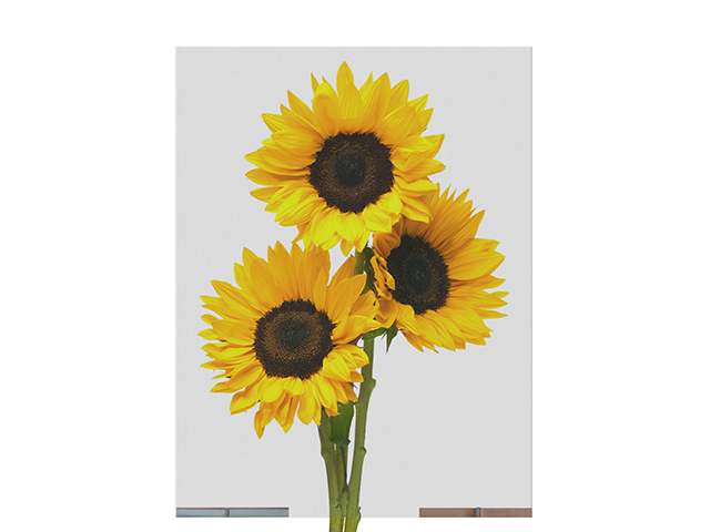 西南電控調(diào)光膜切割 信息推薦 珠海水發(fā)興業(yè)新材料科技供應(yīng)