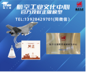 特爾博-飛機(jī)設(shè)計師打造-官方授權(quán)模型