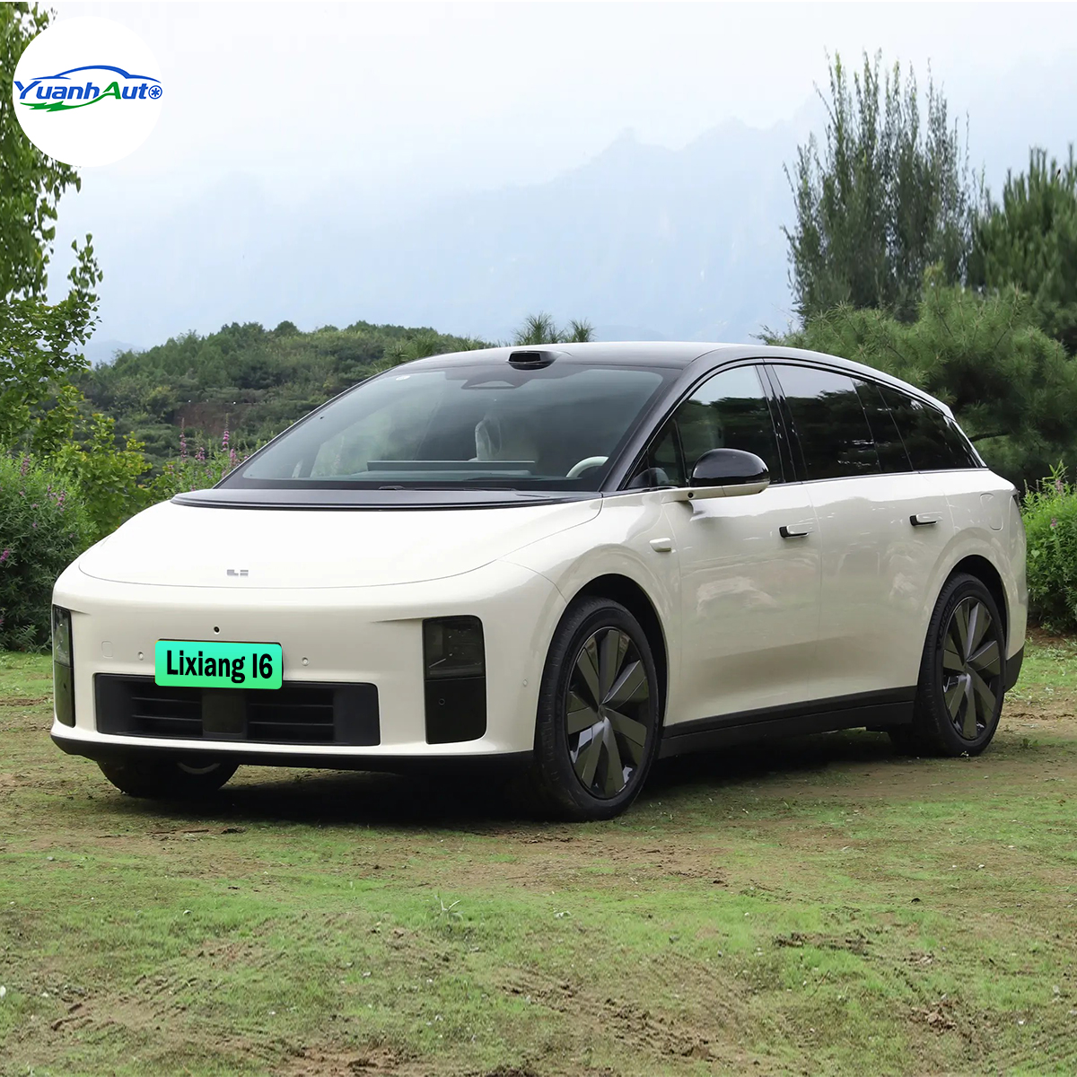 Li Auto I6 Rear 2025 Li Auto I6 SUV: Electric Fuel, CDC Suspension & Rear Screen