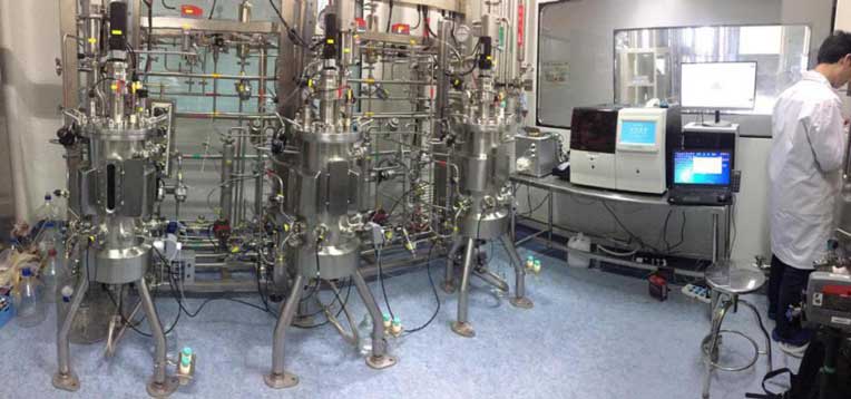 研究院發酵工藝研發項目