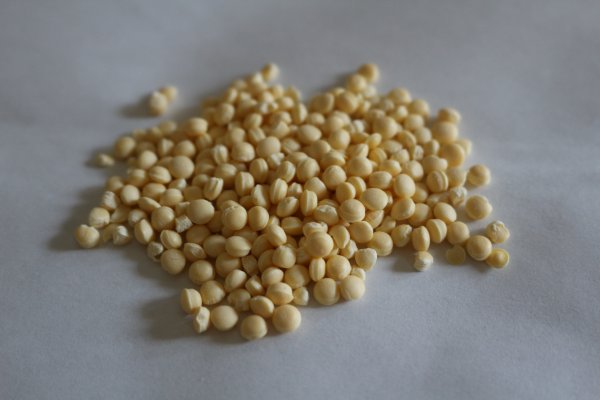 聚乙烯發(fā)泡母料（WH-101/WH-201)