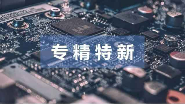 杭州质量管控体系专精特新小巨人概况,专精特新小巨人