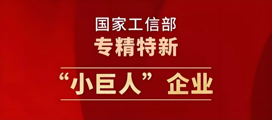 麗水產業協同發展能力專精特新小巨人包括什么,專精特新小巨人