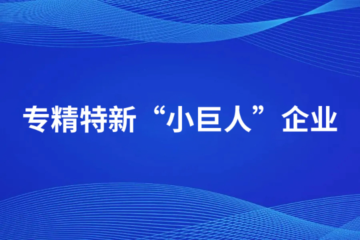 臺州產(chǎn)業(yè)協(xié)同發(fā)展能力專精特新小巨人平臺,專精特新小巨人