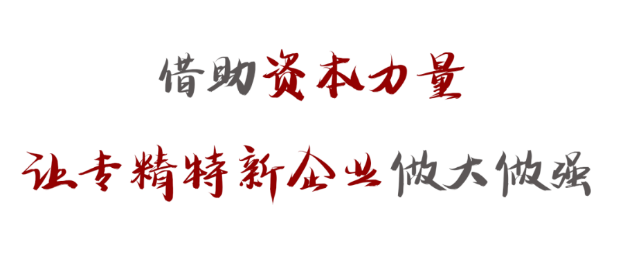 臺州產(chǎn)業(yè)協(xié)同發(fā)展能力專精特新小巨人平臺,專精特新小巨人