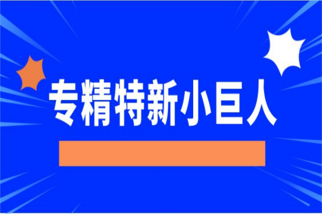 寧波新工藝專精特新小巨人怎么樣,專精特新小巨人