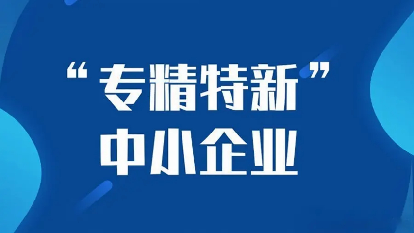 金華核心競爭力專精特新小巨人性價比,專精特新小巨人