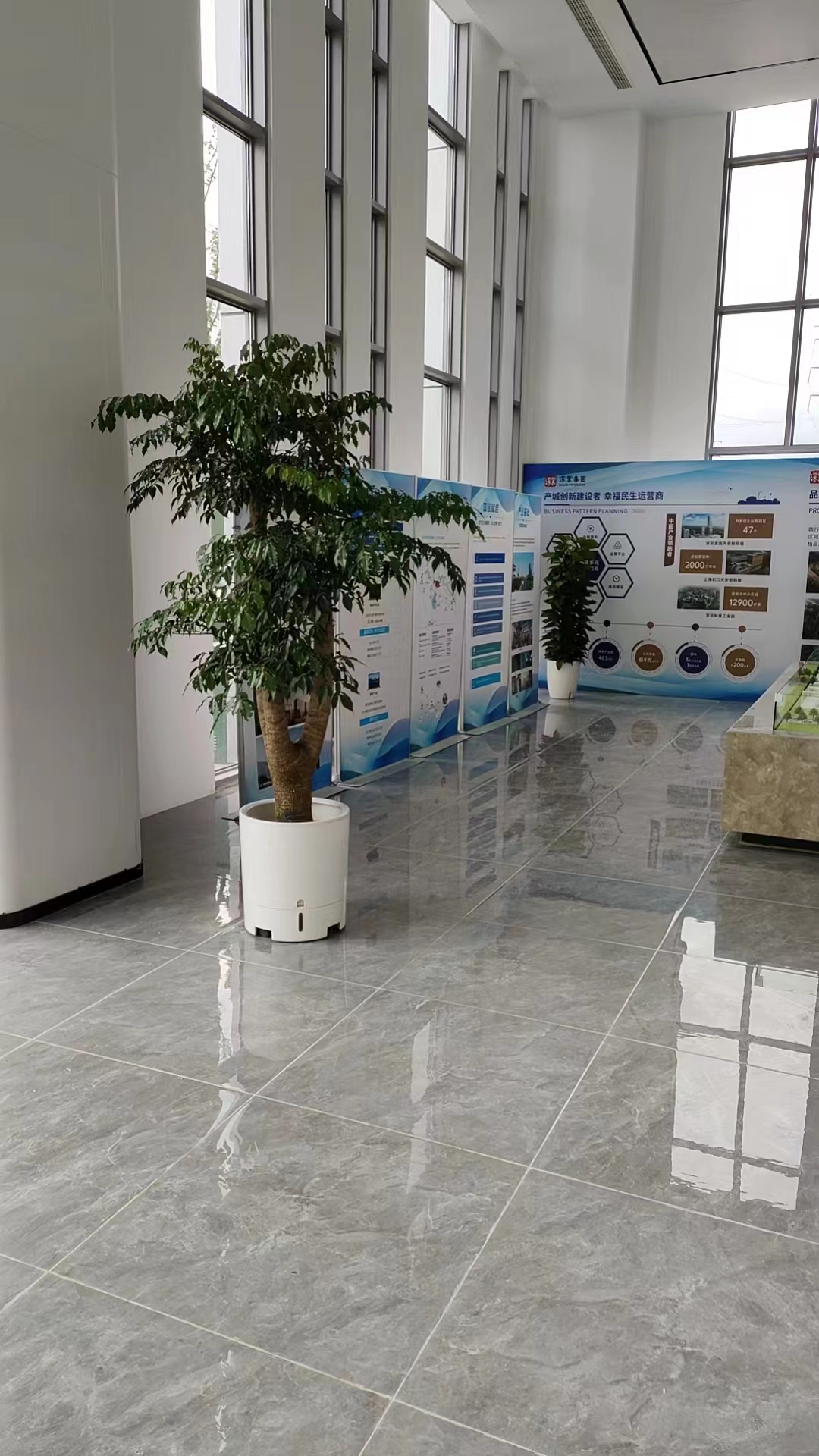 綠植租賃：用綠色點(diǎn)亮辦公空間，江陰楚天園林為您定制專屬方案