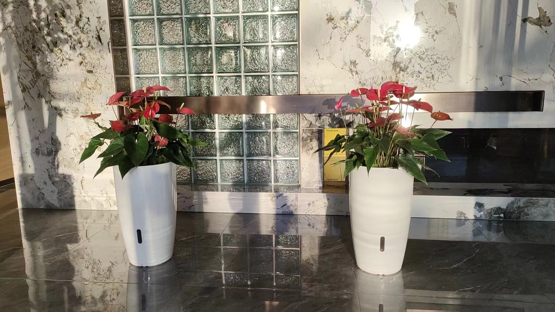 江陰楚天園林綠化：綠植租賃業(yè)務(wù)涵蓋范圍、種類、服務(wù)全知曉