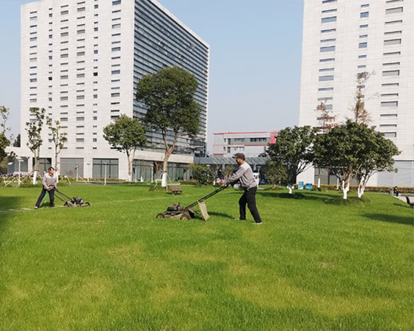 綠化養(yǎng)護(hù)