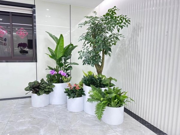 綠植租賃
