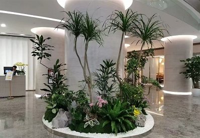 綠植租賃