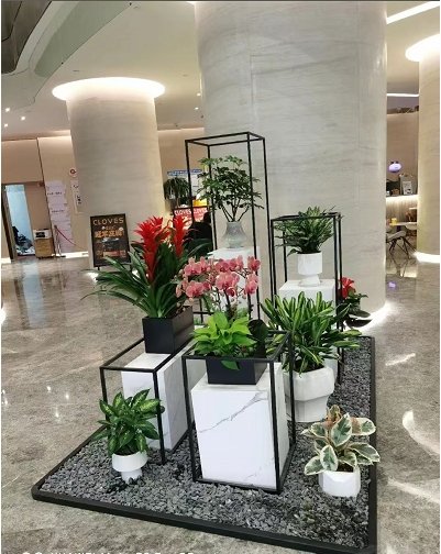 綠植租賃