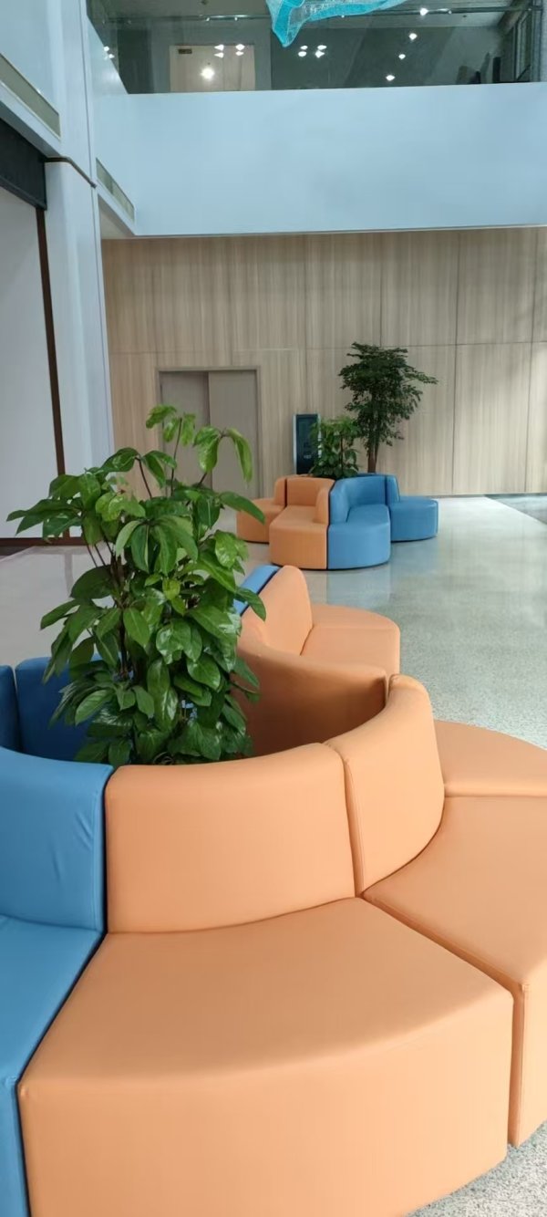 綠植租賃