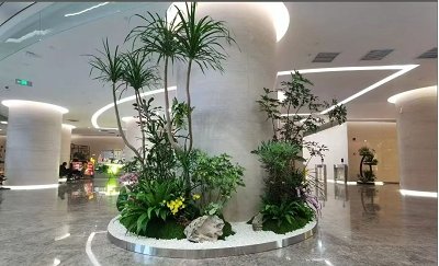 綠植租賃