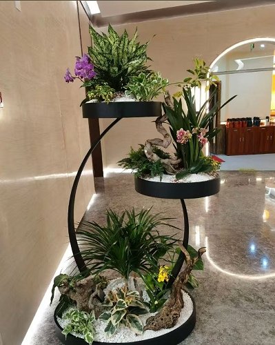 綠植租賃