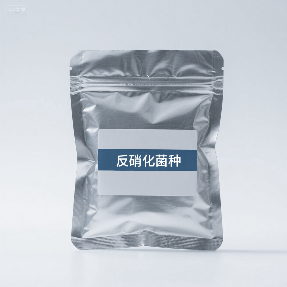 反硝化菌種