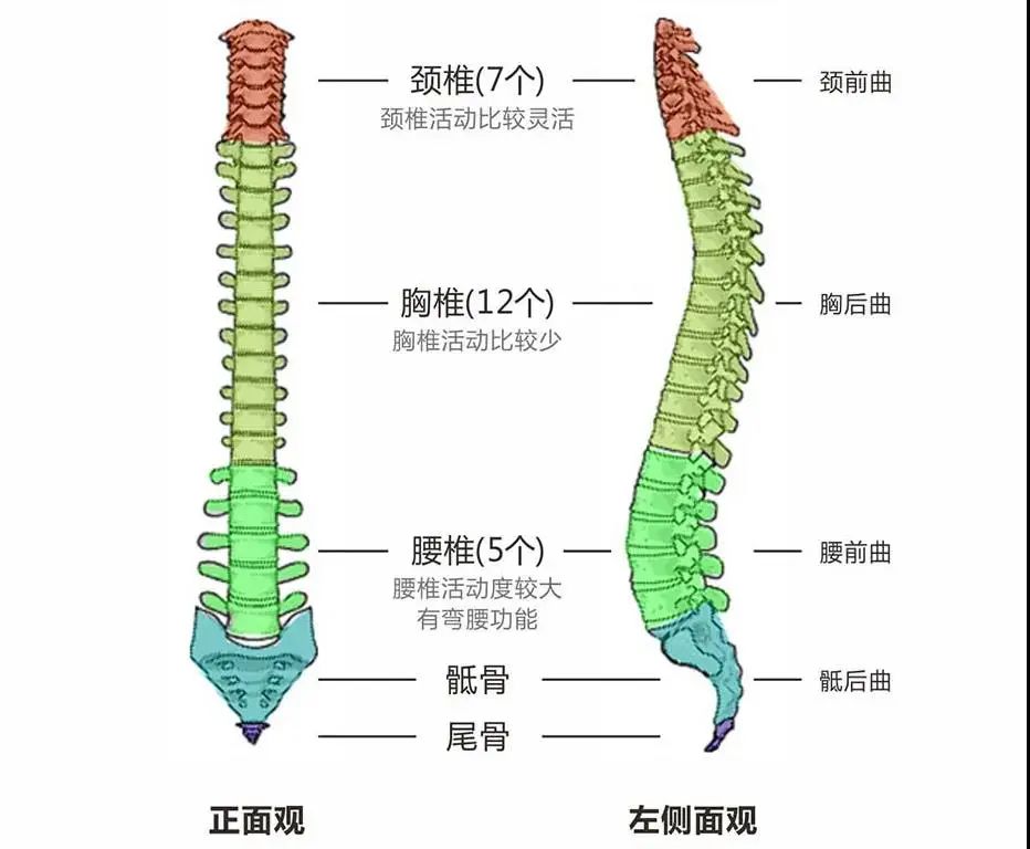 申博太阳城·(中国)官方网站