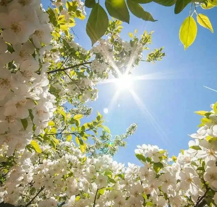 申博太阳城·(中国)官方网站