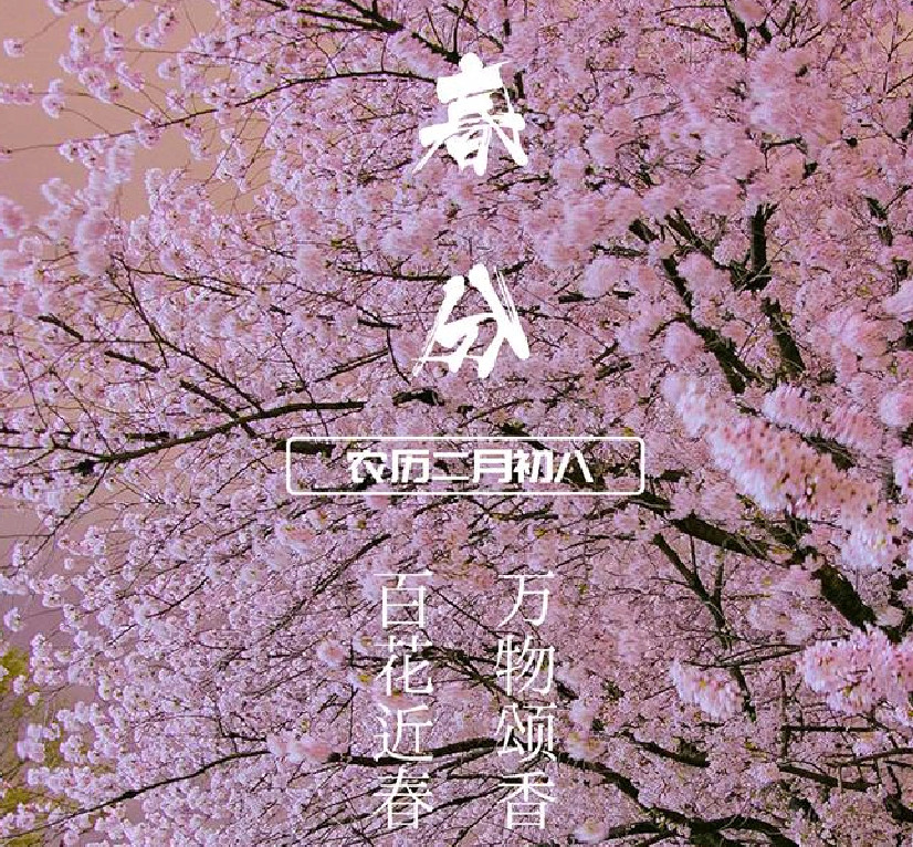 平面及效果圖設計1