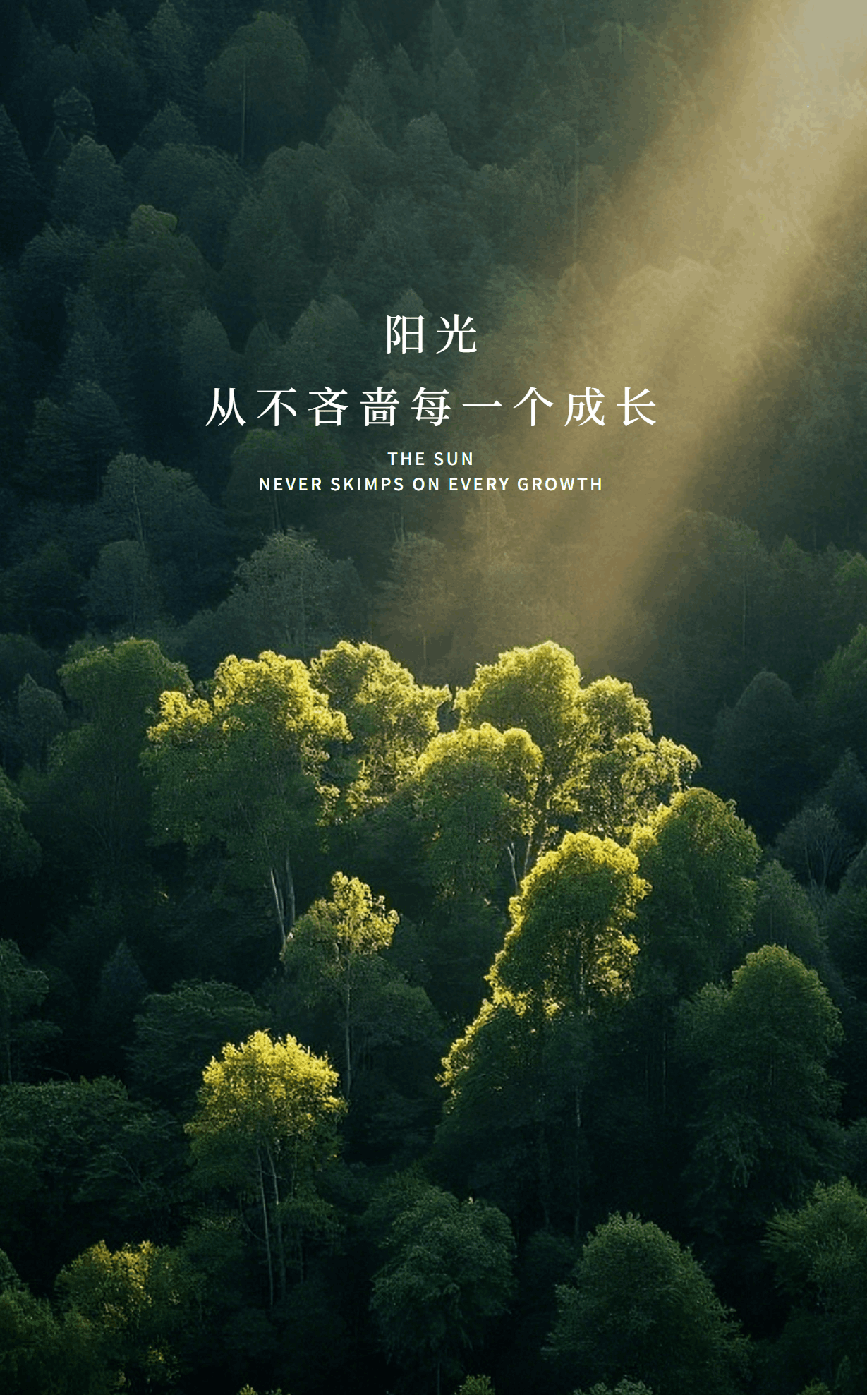 智慧環衛如何優化環衛車輛調度？