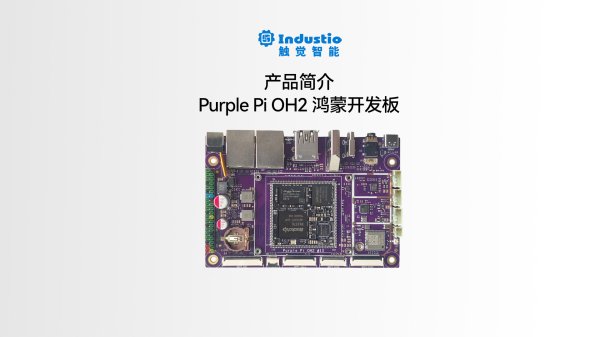 RK3576 八核处理器<br>Purple Pi OH2开发板