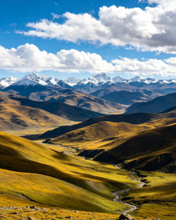 C2cccbcf7e34b9ff8fc7404def66e9b8