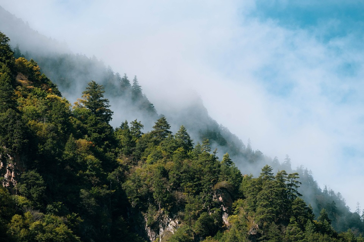 上海重点区域大场景大范围监控供应商,大场景大范围监控