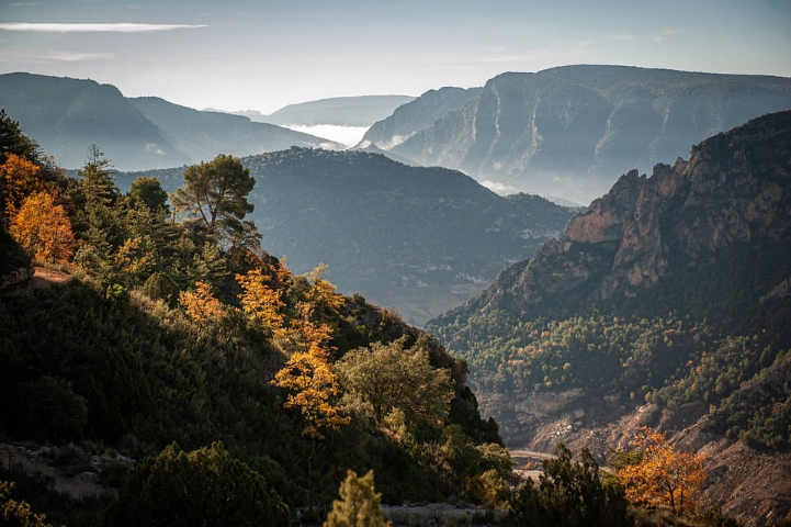 太原森林草原大場景大范圍監控系統,大場景大范圍監控