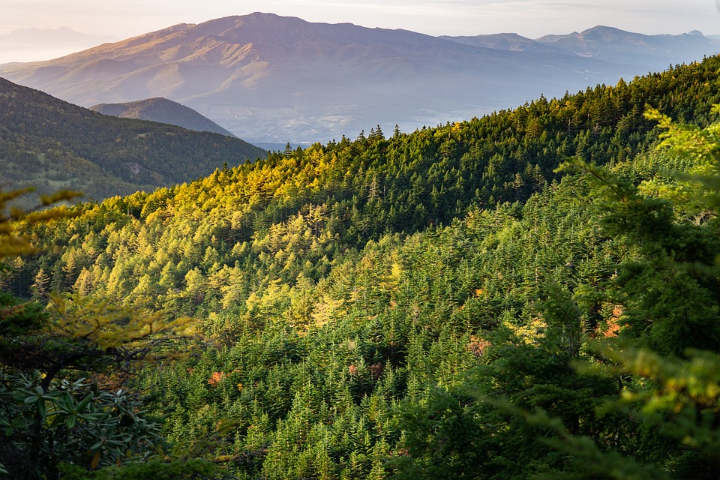 安徽森林草原大場景大范圍監控供應商,大場景大范圍監控