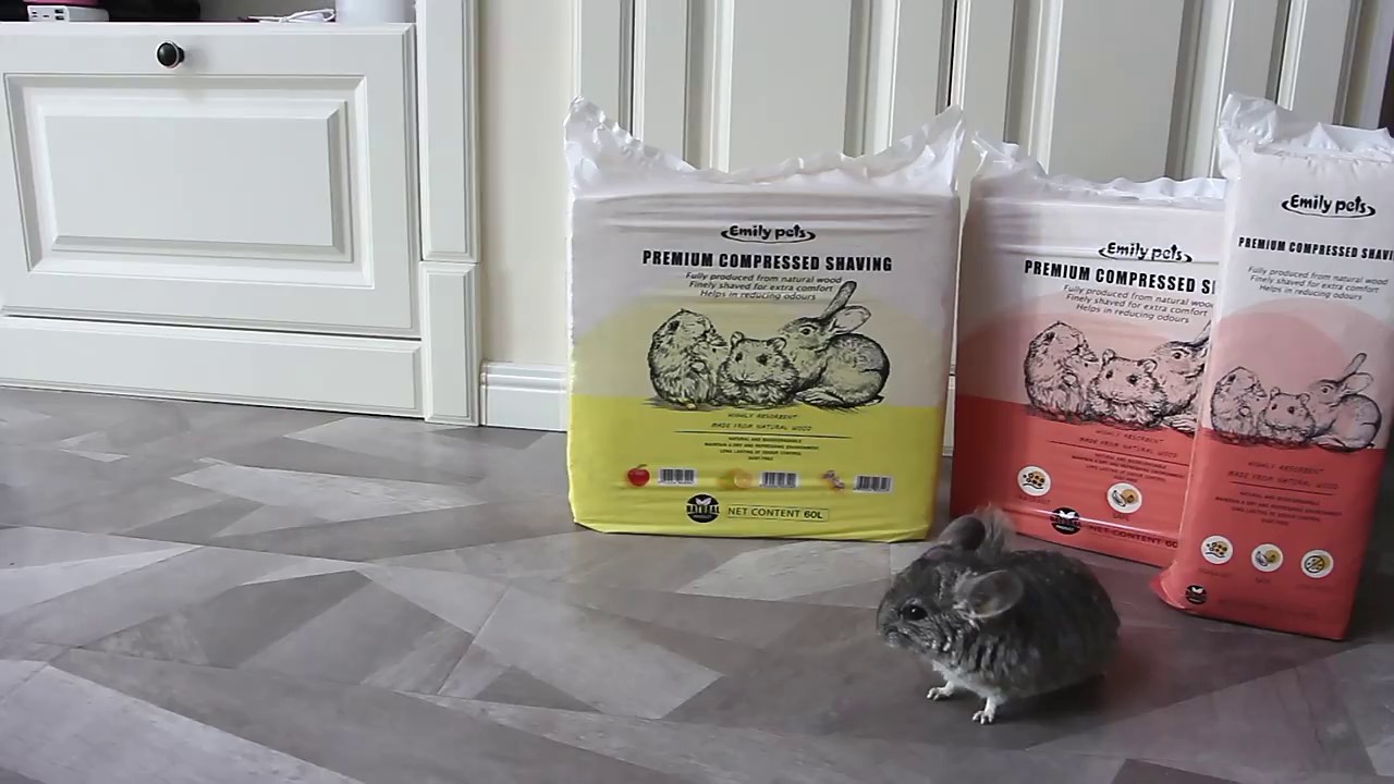 北京定制仓鼠木屑,仓鼠木屑