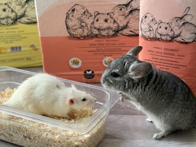 中山区艾米丽小宠木屑欢迎选购 来电咨询 普元宠物用品供应