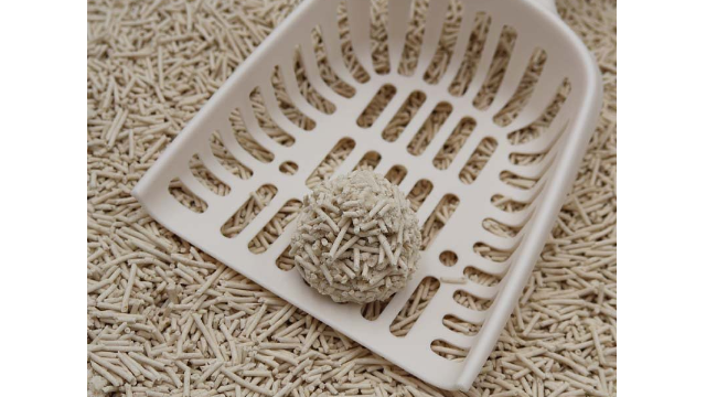 可沖廁貓砂使用注意事項，避免堵塞