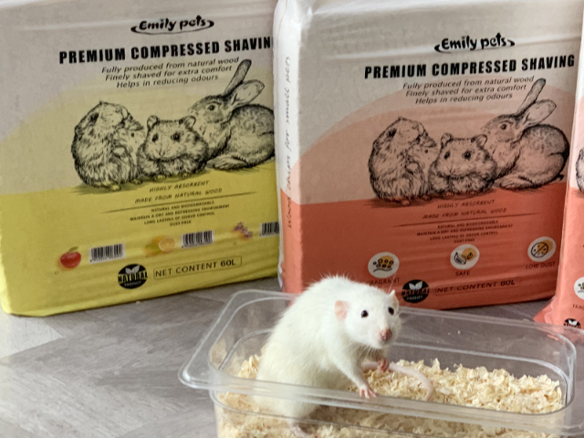 浙江受歡迎的小寵墊料廠家供應(yīng),小寵墊料