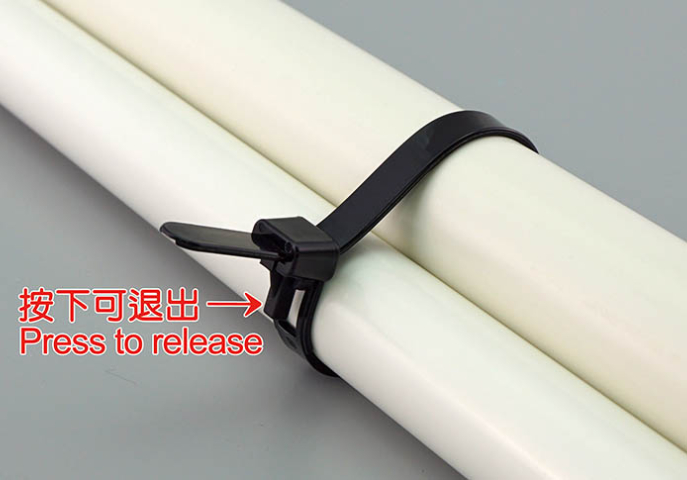 福建珠孔扎線帶魚友必備