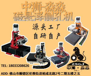中狮-淼淼