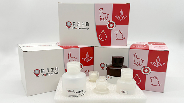 專業(yè)試劑盒定制流程 和諧共贏 南京陌凡生物科技供應(yīng)