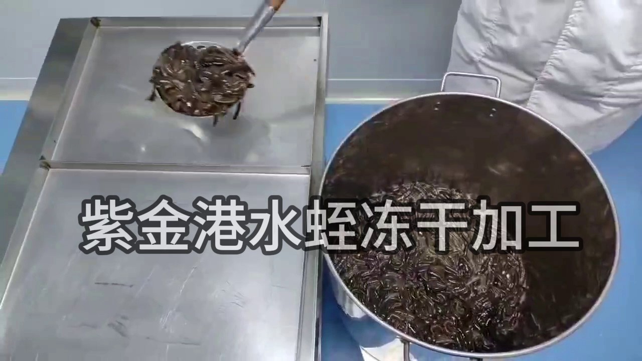 安徽中老人水蛭素生产厂家,水蛭素