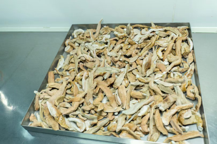 福建清理血管水蛭素哪家性价比高,水蛭素