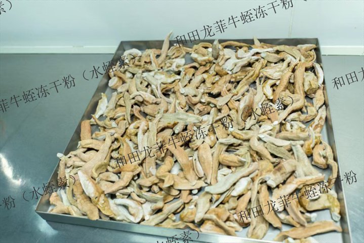 河北天然水蛭素源頭廠家 歡迎來電 海寧市紫金港生物科技供應;