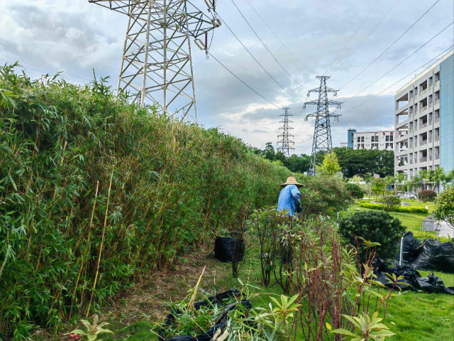 深圳滲色處理養護藥劑 深圳市順民實業發展供應
