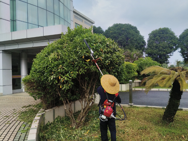 中山高人流养护药剂,养护